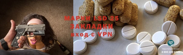 хмурый Ельня