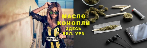 хмурый Ельня