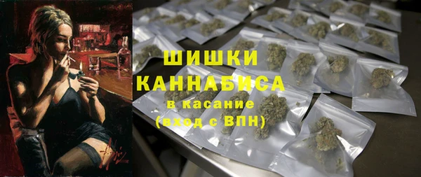 прущая мука Дмитриев