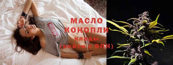 прущая мука Дмитриев