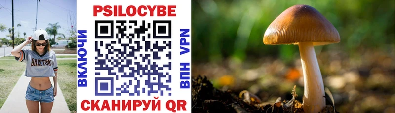 Псилоцибиновые грибы Psilocybine cubensis  Дубовка 