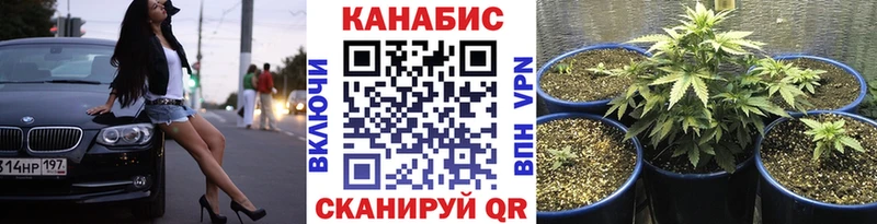 Марихуана OG Kush  мега маркетплейс  Дубовка 